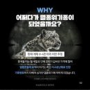 발표력 향상을 위한 독서 스피치 이미지