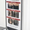 수원 눈썹 잘하는 곳 / 피씨엘코리아 수원(PCL KOREA) / 수원 자연눈썹 헤어스트록 기법