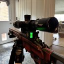 H4350 | SG Pulse (Electronic Level) 써본 후기 / Tall target Test / Best Load