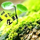 길목 이미지