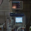 푸른동물종합병원 이미지