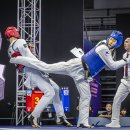 세계로 태권도 이미지