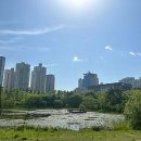 미소지인의원 | 남영역 피부과 전문 병원 BEST 추천 6곳