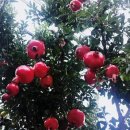 백산의료기 이미지