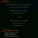 베를린 필하모닉 스트링 콰르텟 이미지