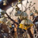 저전나눔터 이미지