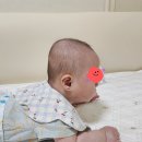 영아미용 | [내돈내산] 하니헬멧 동탄 후기(추천인 가능, 아기헬멧, 신생아헬멧, 비용, 단두증, 단두 수치 계산...