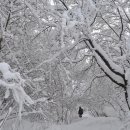 섬마을바다 이미지