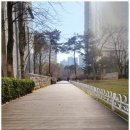 가람마을1단지아파트 정류장 이미지