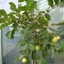 기현2농장 이미지