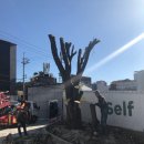 느티나무주유소 이미지