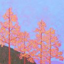 평화전자 이미지