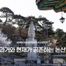 공공용 85 네이버블로그