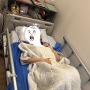 다함메디 | 수원 시온여성병원 자궁근종수술 후기(2)_수술 당일 D-Day