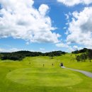 스카이블루 이미지