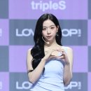 도도한그녀 일간스포츠