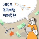 천평농장 | 대학생 [CAFE] 내돈내산 귤꽃카페 ☕🍊 / 당일예약 카페 / 제주도 함덕 당일예약카페 솔직후기