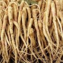 마린 피트니스 이미지