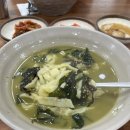 제주도 서귀포 맛집 대포칼제비 내돈내산 솔직 후기 (안먹으면 후회함)