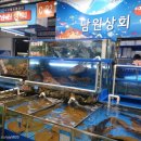 상우상회