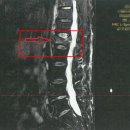 장원행정사사무소 이미지