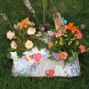 싼티아고 이미지