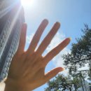 원신흥북로 이미지