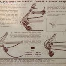 허브지노 이미지