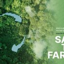 세이브더 이미지