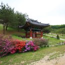 심덕부묘 이미지