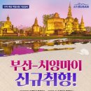 (주)부산대한여행사 네이버블로그