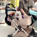 의왕 백운호수 애견동반 식당 별당보리밥 후기 + 야외테라스만 가능🐶
