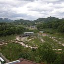 올챙이캠핑장 이미지