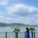 파레사애견풀빌라 이미지