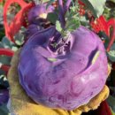 동식농장 이미지