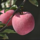 영주롯데슈퍼 이미지