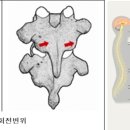 태현한의원 네이버블로그