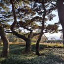 운봉읍 삼산마을 이미지