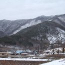 진상동 Daum카페