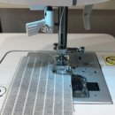 펫코디디자인연구소
