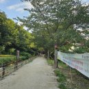 머리마을 이미지