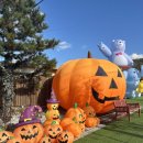 부곡중앙초등학교(유치원포함) | 양주르글램핑캠핑장