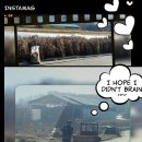 곰순이네 농원 Daum카페