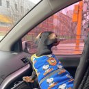 펫 파라다이스 동물병원 | 꿍이 10살 기념 건강검진 후기, 운정 펫파라다이스 동물병원🐶