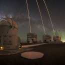 Seed of Li 이미지