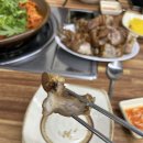 도마동 맛집 쭈삼불고기 얼큰이 칼국수 토종족발 재방문 내돈내산 솔직후기