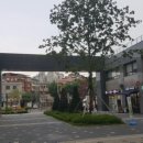 장수빈대떡 이미지