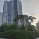 대연고등학교 | [신풍역] &#39;래미안프레비뉴아파트&#39; 임장 후기