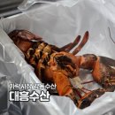 홍도수산 | 가락시장 강동수산 내 대흥수산에서 랍스타 포장후기