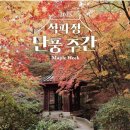 부암동 석파정의 가을풍경 이미지